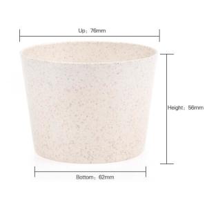 Wheat straw Compostable PLA eco-friendly biodegradable Biodegradable ECO