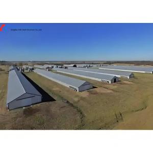 Galvanized Steel Poultry House with Cage Feeding System for Layers & Broilers