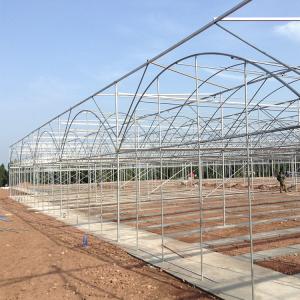 Buy cheap Strong Structure Heavy Duty Plastic Greenhouse / Plastic Tomato Greenhouse from wholesalers