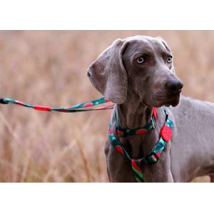 Buy cheap Watermelon Dog Collar And Leash Harness Reflective Dog Accessories from wholesalers