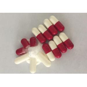 Powder Filling Equipment Automatic Capsule Filling Machine GMP Standard