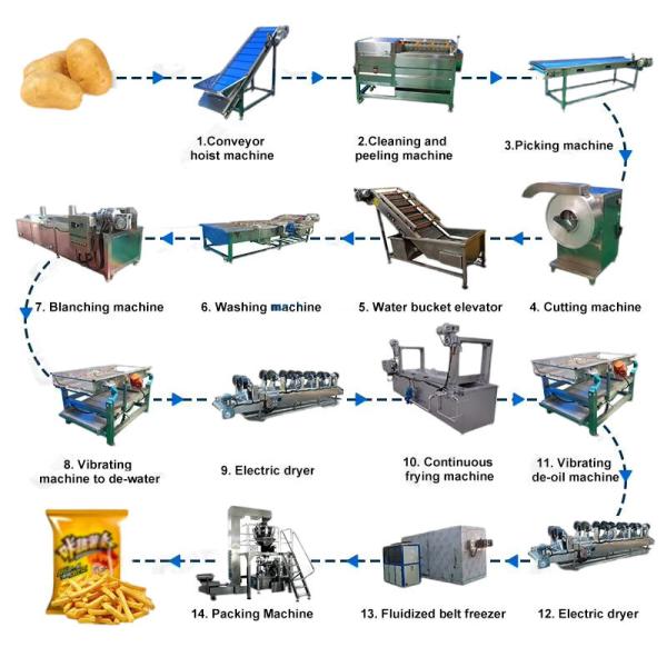 Customized Stainless Steel Industrial Potato Fries Equipment for Large-Scale