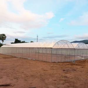 Buy cheap Continuous Structure Multiple Bays Connected Multi Span High Tunnel Greenhouse from wholesalers