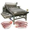 Buy cheap Industrial SUS304 Fish Grading Machine , Multiscene Seafood Sorting Machine from wholesalers
