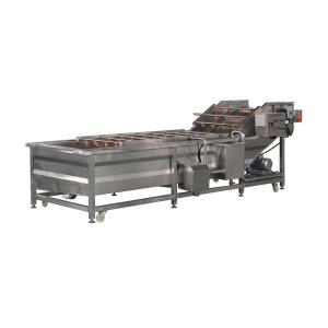 Customizable Capacity Bubble Washer for Industrial Fruit and Vegetable