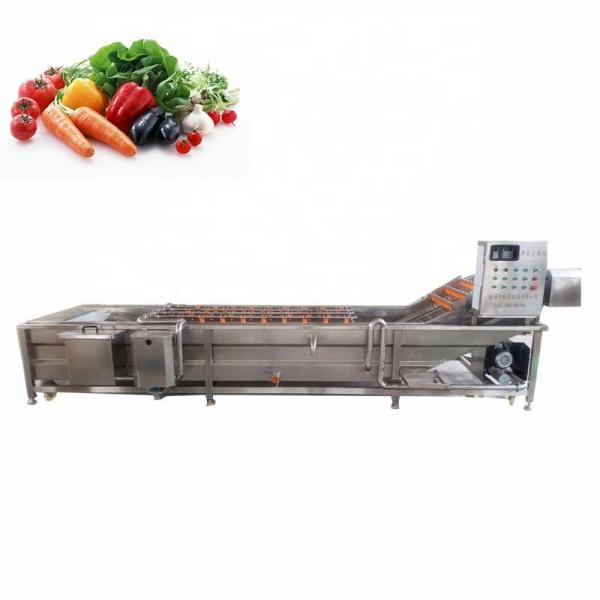 Buy cheap SS304 Multifunctional Potato Ginger Washing And Peeling Machine Automatic from wholesalers