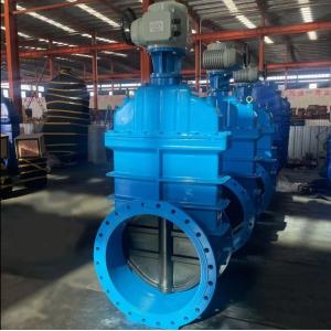 General Standard Cast Iron Gate Valve for Customized Service Needs