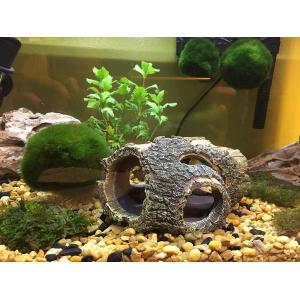 Buy cheap Artificial Driftwood Aquarium Decoration Items from wholesalers