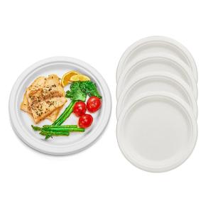 Buy cheap Microwaveable Eco Friendly Packaging Compostable Sugarcane Plates Biodegradable Pulp Molded from wholesalers