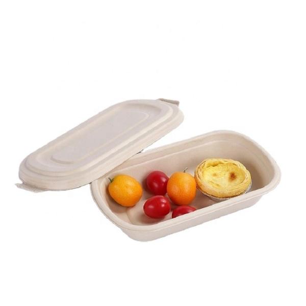 Buy cheap 850ml Compostable Sugarcane Bagasse Takeaway Eco Friendly Disposable Lunch Boxes from wholesalers