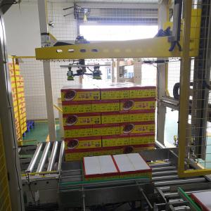 Food Packaging Palletizing Line Machine Industrial Servo Cartesian Palletizer