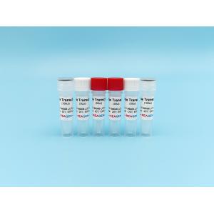 Reverse Transcriptase M-MLV RT Feline Pestivirus Antigen Rapid Test Kit