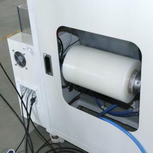 Automatic Nuts Shaft Visual Counting Packing Machine With PE Packing Material