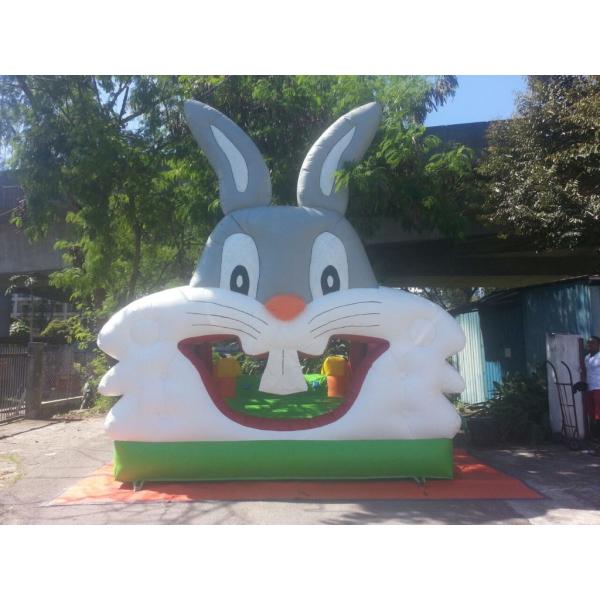 Rabbit Inflatable Bouncer Castle With Slide 6x3.5x2.5m