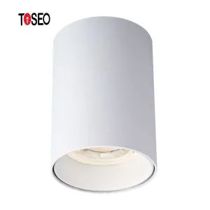 Buy cheap IP65 Fire Rated Dimmable LED Downlights Superior Brightness from wholesalers