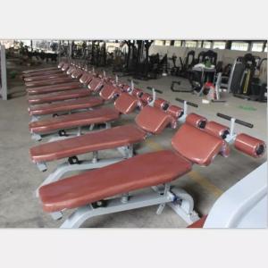 Befreeman Wholesale Gym Strength Exercise Bench Adjustable Incline Decline Bench