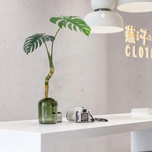 Buy cheap Durable Furniture Pot Artificial Monstera Plants For Garden from wholesalers