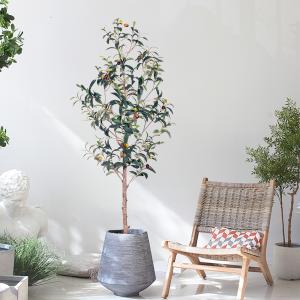 Buy cheap Artificial Olive Tree Indoor - Realistic Faux Olive Trees Wholesale for Home & Office from wholesalers