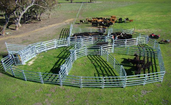 2.1m econo gate in frame/40x40mm square tube horse round pens/6 cross bars cattle yard panels for Australia/New Zealand