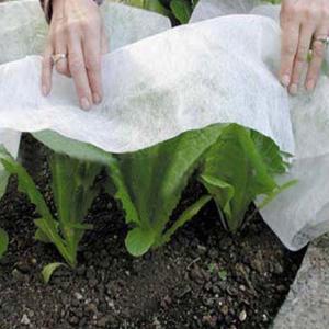 Buy cheap 200gsm Agriculture Mulching Sheet PP Non Woven Material from wholesalers