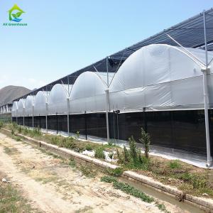 Buy cheap 30*10m Poly Tunnel Galvanized Frame Multi-span Agricultural Greenhouse For Tomato from wholesalers