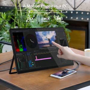 18.5 Portable Gaming Monitor with Full HD IPS HDR Panel 300nit Display 72% NTSC