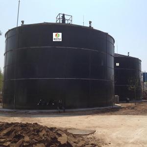 China Expanded Granular Sludge Bed EGSB Wastewater Treatment Commercial Biogas Plant on sale