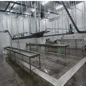 High Productivity Poultry Slaughtering Machine Automatic Chicken Abattoir