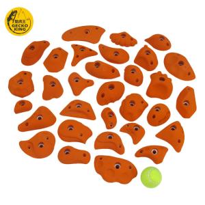 Buy cheap Middle Gecko King Wall Climbing Hand Holds The Perfect Fit for Your Gym Equipment from wholesalers