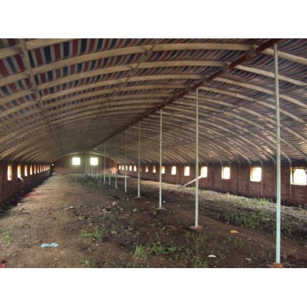Quality Reusable Qualified Safety And Utility Fabricated Steel Chicken Shed Systems for sale