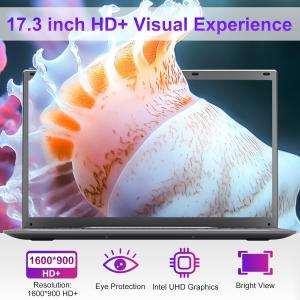 17.3 Inch Windows Laptop Computer Intel 4-Core N100 HD Display Windows 11 Pro