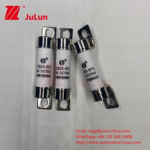 20KA Breaking Capacity Ceramic Vehicle FusesEV FUSE Environment Reliability
