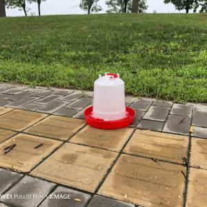 Buy cheap Constant Water Supply Poultry Drinker With Anti-drip And Extra Large Capacity Design Watering Product from wholesalers
