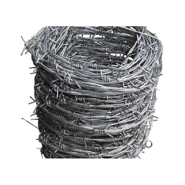 Quality 12x14 Hot Dipped Galvanized Barbed Wire Coil,  Security  Mesh Fence for sale