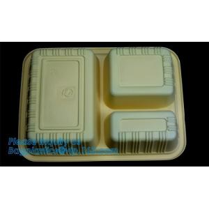 Personalized plastic food box sushi packaging tray,Food Use and Tray Type