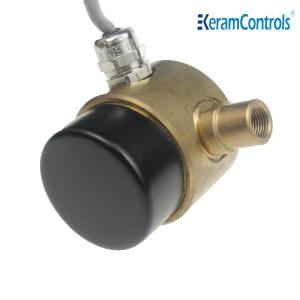 BSP 2 Wire Liquid Differential Pressure Switch 24V