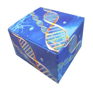 Buy cheap Custom Printed 32 ECT B Flute Corrugated Paper Packaging Boxes With Artwork from wholesalers