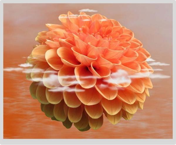 Buy cheap 19" 30 Pins TFT Color LCD 1280x1024 All Viewing Angle 16.7m Lvds Screen from wholesalers