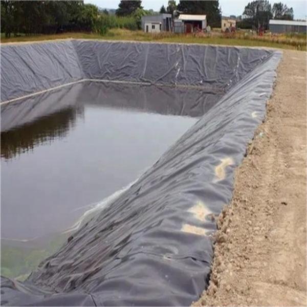 Quality HDPE Fish Pool Pond Liner 50m-200m/roll HDPE Film Roll for Durable Engineering Plastic for sale