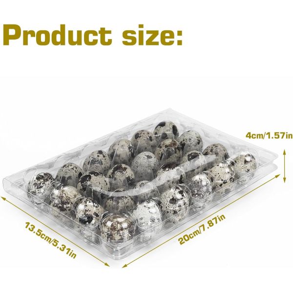 Quality Small Plastic Egg Cartons - Clear 2 Dozen Quail Eggs Tray - Reusable Storage Holder For Small, Pheasant, Pigeon Eggs for sale