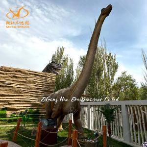 Lifelike Real Life Size Dinosaurs Model for Amusement Park And Museum