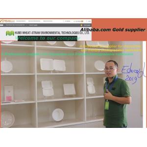 Series tableware disposable biodegradable and eco friendly take away foodbox