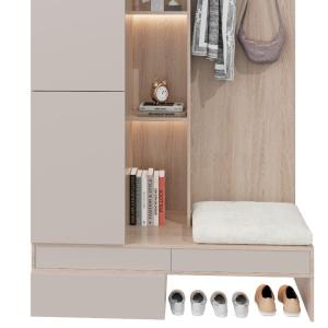 Buy cheap Shoe Cabinet Bookcase With Lamp Belt Design One-piece Wardrobe Support customization from wholesalers