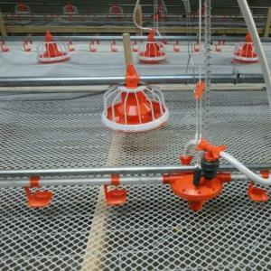 Buy cheap D25mm Pipe Poultry Farm Water System Chicken Self Watering System from wholesalers