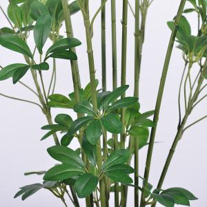 Buy cheap Artificial Multi-Stem Schefflera Plant 120cm 150cm 180cm | Faux Arboricola for Indoor Office & Home Decor from wholesalers