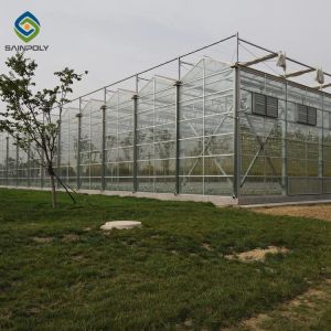 Buy cheap Agricultural 120km/H 10.8m Multi Span Glass Greenhouse from wholesalers