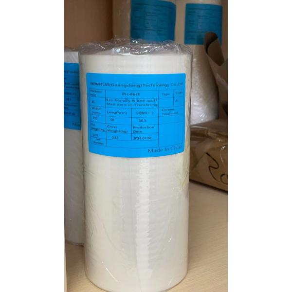 Environmental Protection Transfer Clear Coat Matt/Glossy Films with Scratch