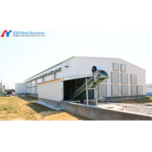 Buy cheap Prefab Steel Structure Poultry Farm Shed with Automated Feeding System from wholesalers