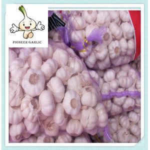 Buy cheap Normal white garlic,low price,10kg,20kg mesh bag in lowest price garlic product