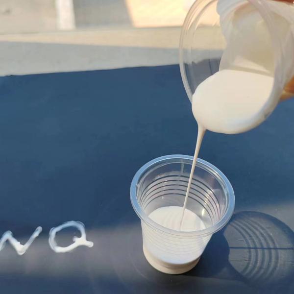 Hard Non-Film Forming Emulsion Excellent Gloss & Color Development WB Acrylic